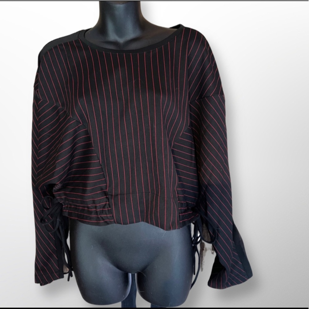 Zara cropped top.